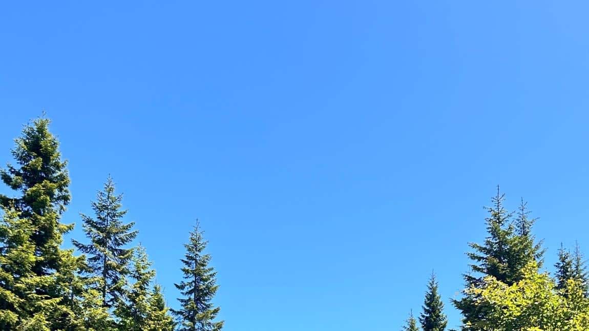 SİSDAĞI YAYLA GEZİSİ